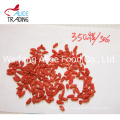 Bulk Packing Low Price Super Food Dried Goji Berry Wolfberry Dry Goji